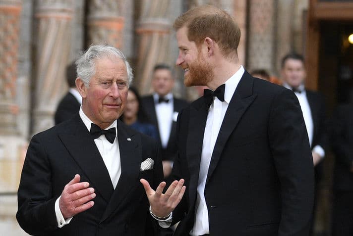 Prens Harry, Daily Mail'e Açtığı Davayı Kaybetti: Son Gelişmeler — görsel 4