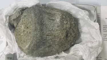 Antarktika'nın 40 Yıllık Dinozor Fosili Yeniden Keşfedildi
