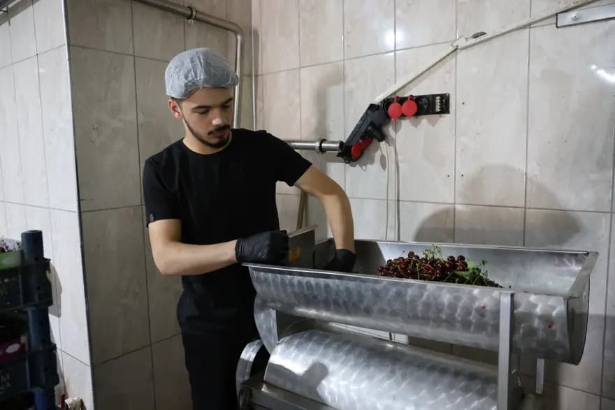 Elazığ'ın Vişneli Dondurması: Katkı Maddesi Yok, Fiyatı 700 TL — görsel 2