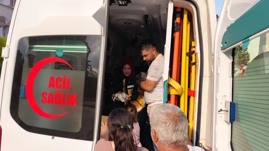 Bursa'da Yangında Dumandan Etkilenen Kediler Kurtarıldı — görsel 3