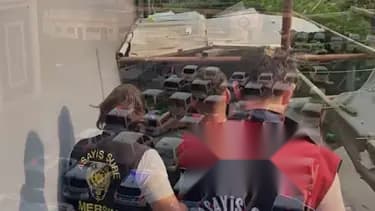 23 İlde Dev Dolandırıcılık Operasyonu: 307 Gözaltı Gerçekleşti