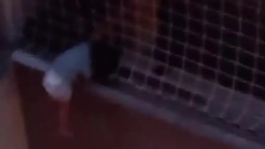 Denizli'de Balkonda Korku Dolu Anlar: Çocuk Asılı Kaldı — görsel 2