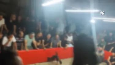 Büyükçekmece'de Horoz Dövüşü Operasyonu: 110 Kişiye Ceza Kesildi