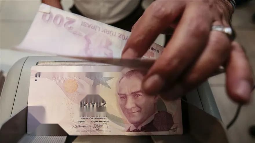 Türkiye'de Sosyal Yardımlar ve Ücretler Yeniden Belirlendi — görsel 5