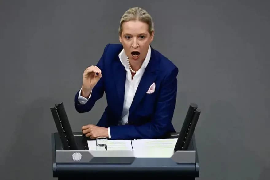 Almanya'da AfD'ye Karşı Binlerce Kişi Sokaklarda Eylem Yaptı — görsel 4