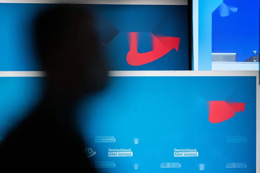 Almanya'da AfD'ye Karşı Binlerce Kişi Sokaklarda Eylem Yaptı — görsel 5