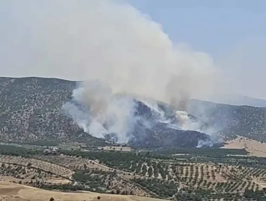 Malatya'da Orman Yangını: Ekipler Hızla Müdahale Ediyor — görsel 2