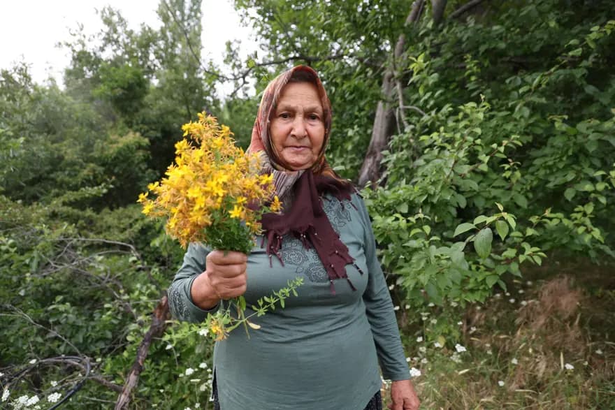 Adana'nın 1200 Rakımlı Köyünde Doğal Şifa Kaynağı: Kantaron Yağı — görsel 2