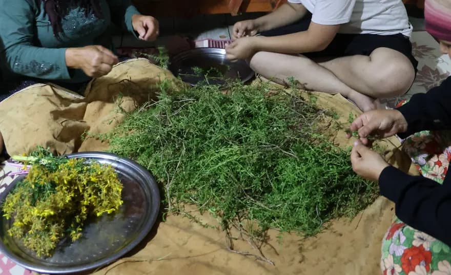 Adana'nın 1200 Rakımlı Köyünde Doğal Şifa Kaynağı: Kantaron Yağı — görsel 3