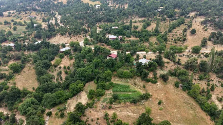 Adana'nın 1200 Rakımlı Köyünde Doğal Şifa Kaynağı: Kantaron Yağı — görsel 4