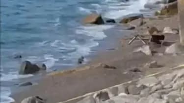 Filyos Sahili'nde Askeri İHA Olayı: İnceleme Başlatıldı