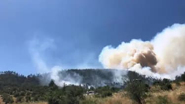 Balıkesir'de Orman Yangınına Hızla Müdahale Ediliyor
