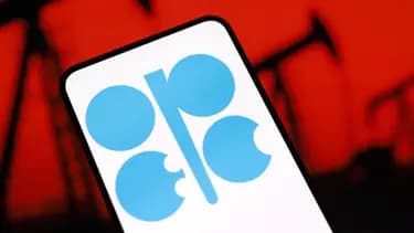 OPEC+, Petrol Üretim Kotalarını Artırma Kararı Aldı