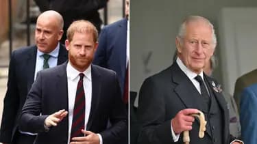 Prens Harry'nin Buckingham Sarayı Krizi: Davet İptal Edildi