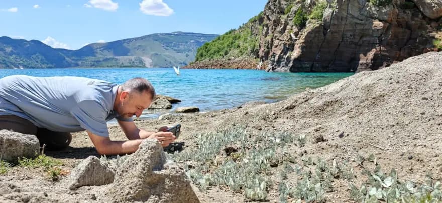 Nemrut Krater Gölü'nde Alıç Kelebeklerinin Şaşırtıcı Görüntüsü — görsel 3