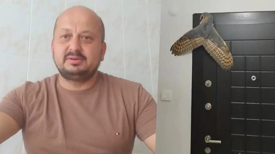 Hırsız sandığı baykuş ev sahibini şaşırttı