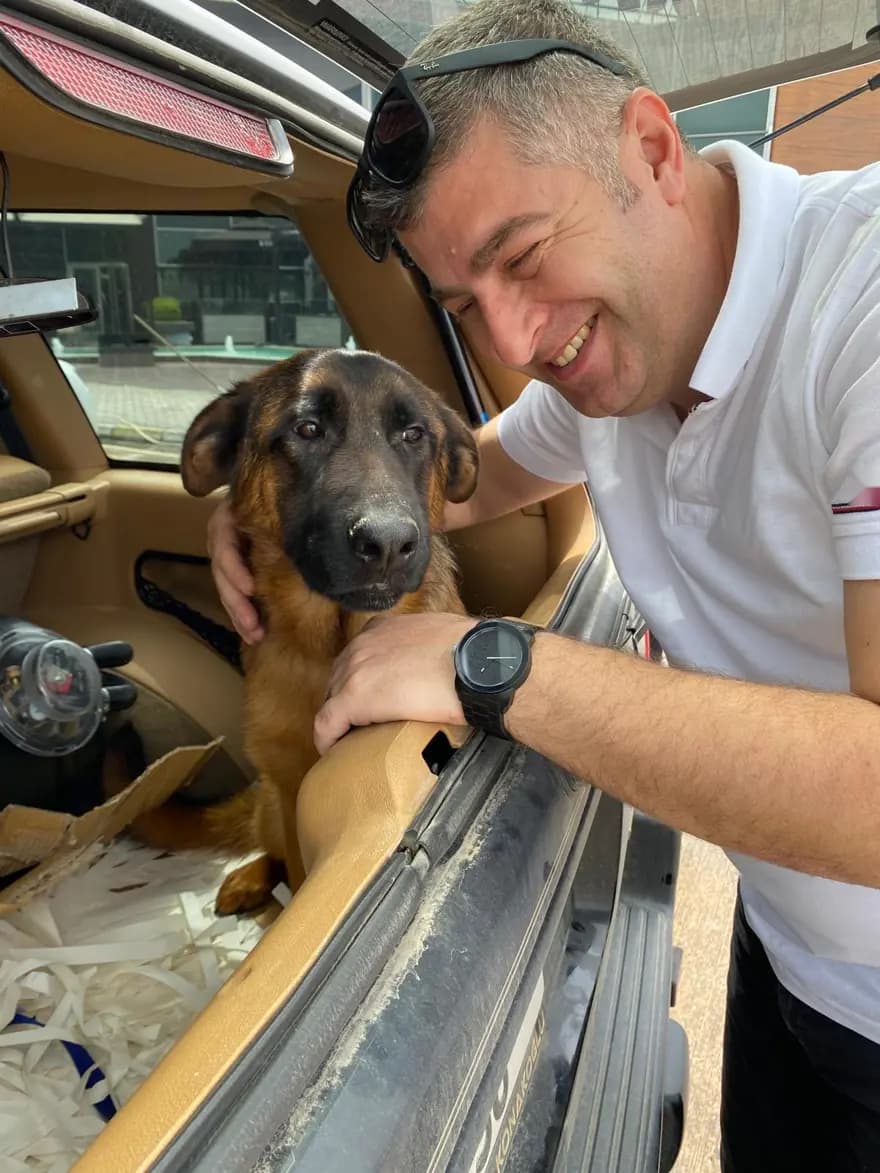 25 Gündür Kayıp Olan Köpek İçin 100 Bin Lira Ödül İlan Edildi — görsel 4