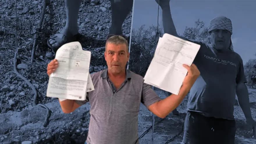 Yılanı öldürdüm diyerek ceza alan adam pişman oldu