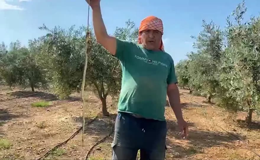 Yılanı öldürdüm diyerek ceza alan adam pişman oldu — görsel 3