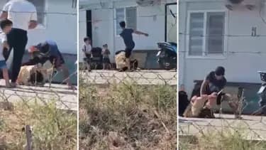 Kırıkhan'da Boşanma Sürecinde Şiddet Olayı: Tutuklama