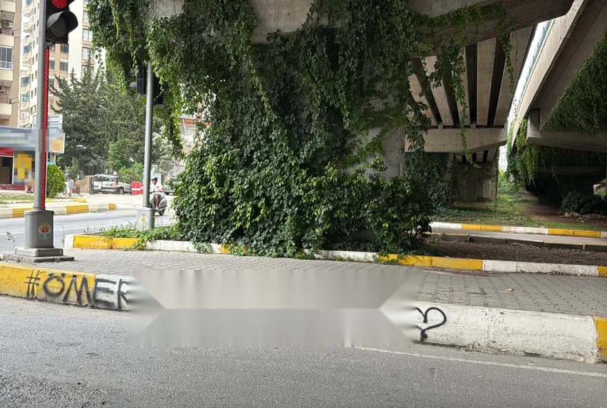 Adana'da Aşk Hikayesi Sokakları Sardı: Ömer ve Özge Kim? — görsel 5