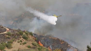 Cezayir'de Sıcak Hava Dalgası 119 Yangın Çıkardı, 114'ü Söndürüldü