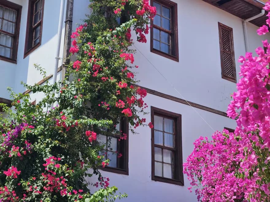 Antalya'da COP31 Zirvesi: 120 Bin Ziyaretçi Bekleniyor — görsel 3