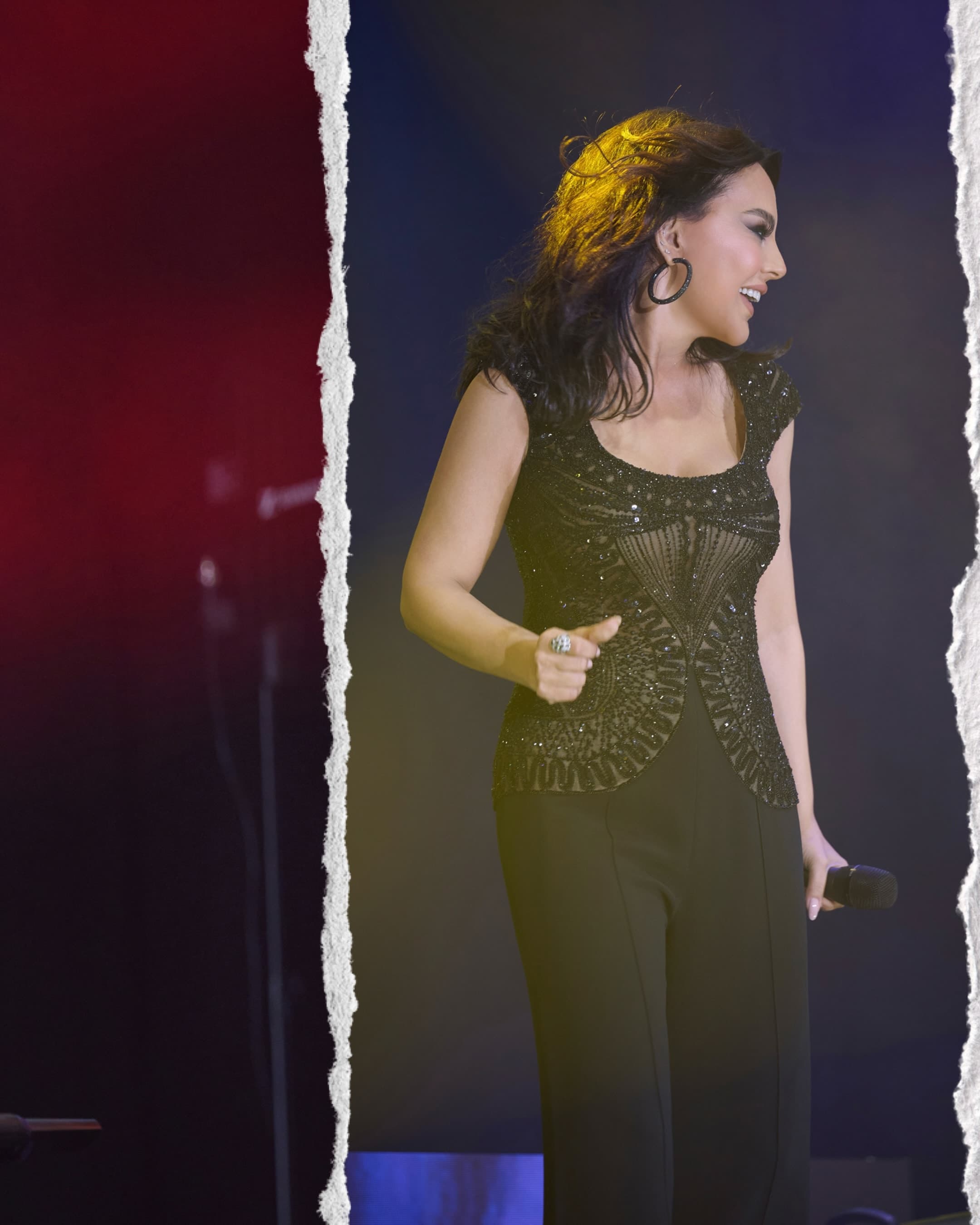 Ebru Gündeş'in Konser Paylaşımları Sosyal Medyada Yankı Uyandırdı — görsel 3