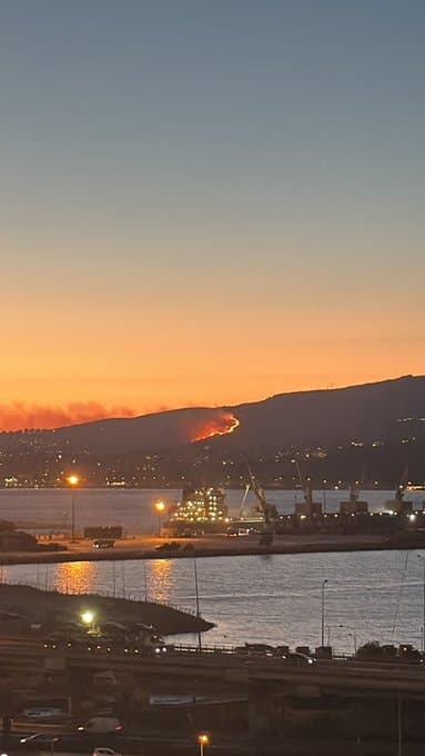 İzmir'de Orman Yangını: Rüzgar Alevleri Büyüttü, Kontrol Altına Alındı