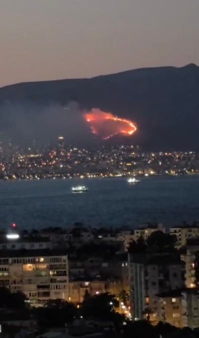 İzmir'de Orman Yangını: Rüzgar Alevleri Büyüttü, Kontrol Altına Alındı — görsel 2
