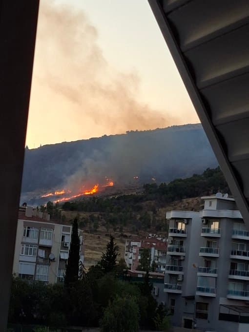 İzmir'de Orman Yangını: Rüzgar Alevleri Büyüttü, Kontrol Altına Alındı — görsel 3