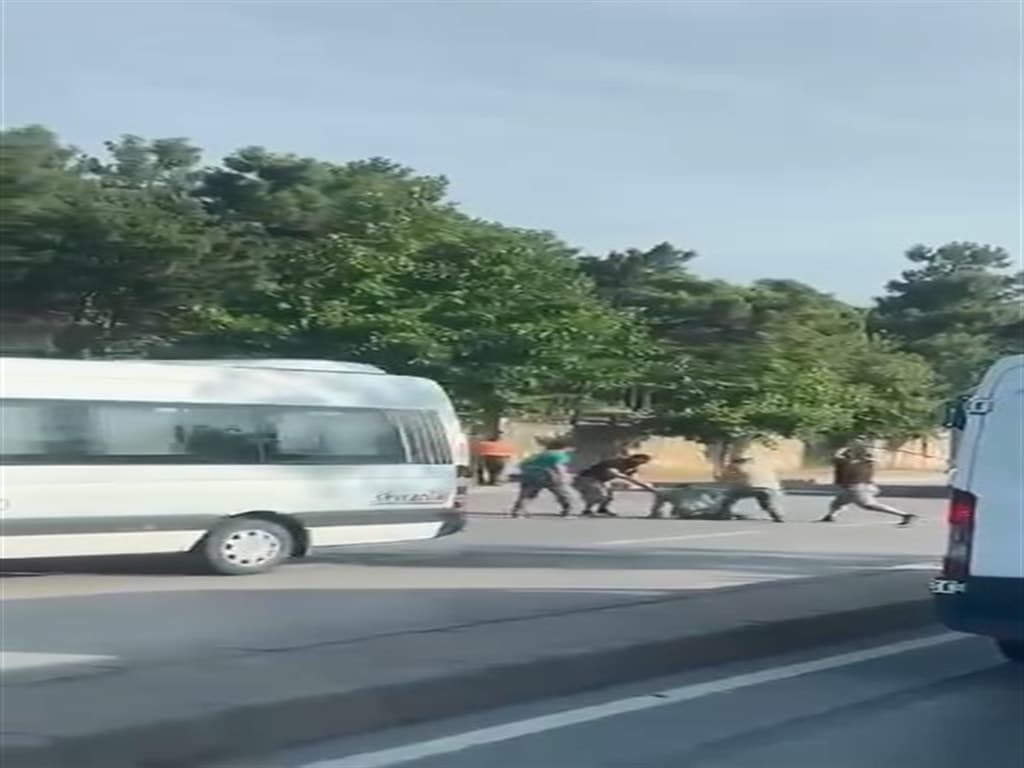 Kocaeli'de Sopalı Saldırı: 4 Kişi Tutuklandı — görsel 4