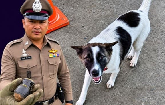 Köpeğin Getirdiği El Bombası Aileyi Tehlikeye Soktu