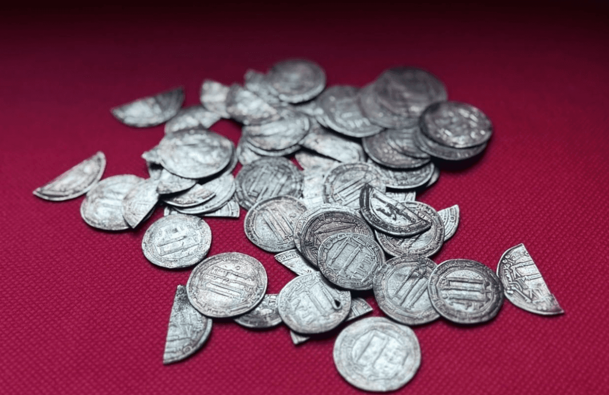 Viking Bölgesinde İslam Hazinesi Bulundu: Yüzlerce Dirhem Ortaya Çıktı