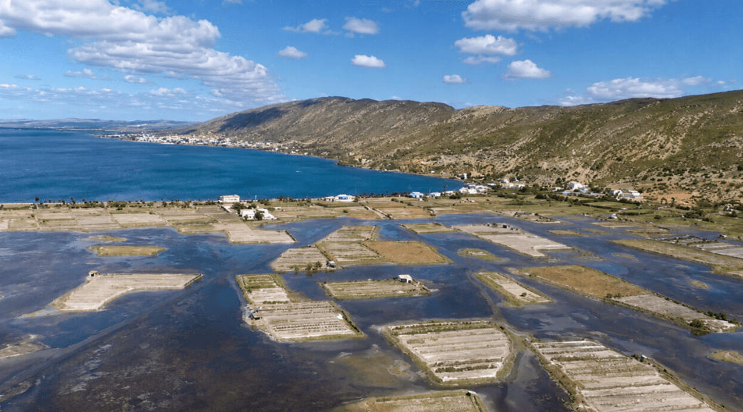 Tuzlu Suyun Üzerinde Patates Yetiştirmenin Sırları